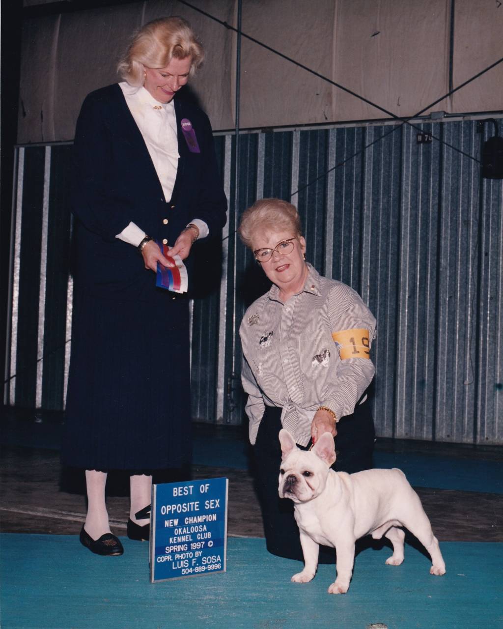 AM/CH:エリオット