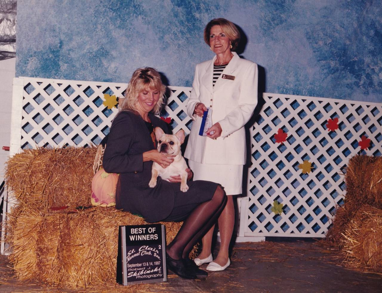 AM/CH:ハニービー